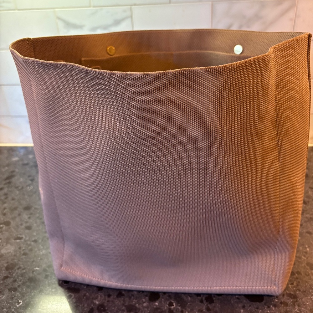 Cuyana Tall Easy Zippered Tote Insert